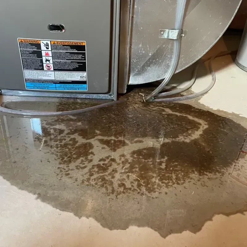 Appliance Leak Cleanup in Bayside, WI